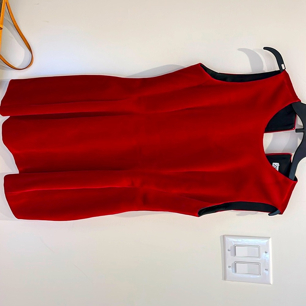 Red velvet Zara dress! Size M. Fit and flare. Lined.
